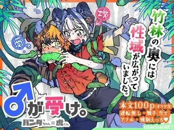 [pink carrot / usachanGET] ♂ Ga Uke. Tora-kun x Panda-Chan / The Male is the Bottom. Tiger-Kun x Panda-Chan (JP) manga cover