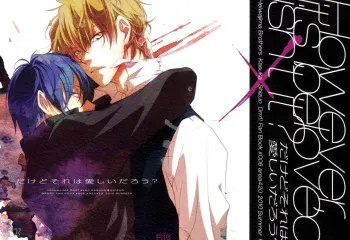 [area420 (Kazao)] Dakedo Sore wa Itoshiidarou? | However, It's Beloved, Isn't It? (Durarara!!) [English] {KCK-Amateur} manga cover