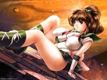 [Country Farm] Needle Garden Vol. 17 (Sailor Moon) manga cover