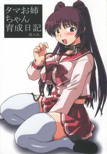 (C68) [Salvage Kouboh (Houou-tan)] Tama Onee-chan Ikusei Nikki (ToHeart2) manga cover