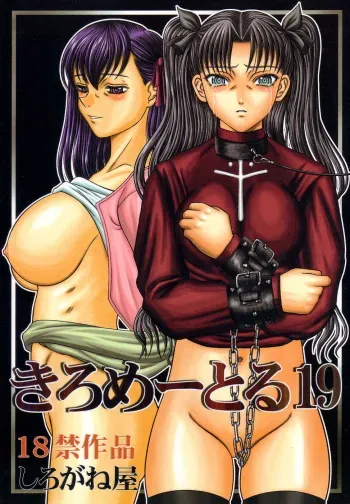 (C67) [Shiroganeya (Ginseiou)] Kilometer 19 (Fate/stay night) manga cover
