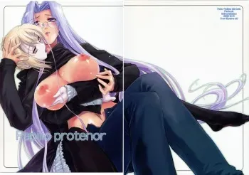 (C71) [Shimoyakedou (Ouma Tokiichi)] Papilio protenor (Fate/hollow ataraxia) manga cover