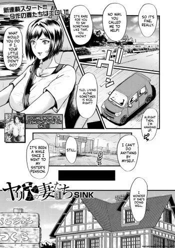 Slut Wives manga cover