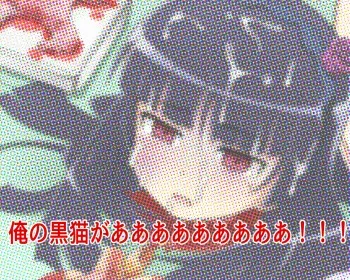 [MJN] Ore no Kuroneko ga Zansatsu Sareta. (Ore no Imouto ga Konna ni Kawaii Wake ga Nai) manga cover