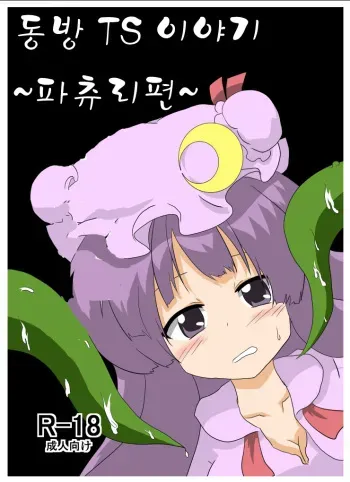 [Ameshoo (Mikaduki Neko)] Touhou TS Monogatari ~Patchouli Hen~ (Touhou Project) [Korean] [Digital] manga cover