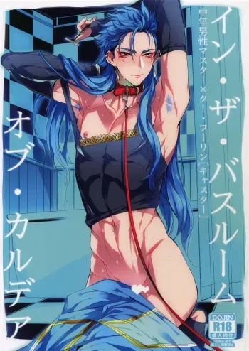 (SPARK12) [+810 (Yamada Non)] In the Bathroom of Chaldea (Fate/Grand Order) manga cover