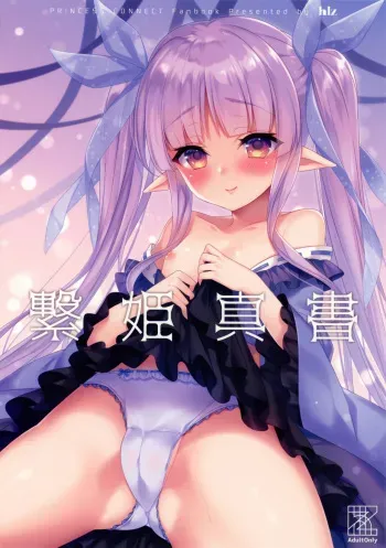 (C97) [hlz (Sanom)] Tsunagi Hime Shinsho | 계희진서 (Princess Connect! Re:Dive) [Korean] manga cover