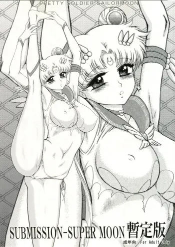(C82) [BLACK DOG (Kuroinu Juu)] SUBMISSION-SUPER MOON Zanteiban (Bishoujo Senshi Sailor Moon) manga cover