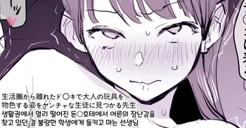 [Poriuretan] Seikatsuken kara Hanareta Don Qui de Otona no Omocha o Busshoku Suru Sugata o Yancha na Seito ni Mirareteshimau Sensei | 생활권에서 멀리 떨어진 돈○호테에서 어른의 장난감을 찾고 있던 걸 불량한 학생에게 들키고 마는 선생님 [Korean] manga cover