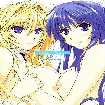 Sekirei Secrets [Doujinshi] manga cover