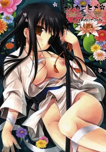 (SC36) [D.N.A.Lab. (Miyasu Risa)] Torikagohime The Birdcage Princess (Gintama) [Korean] manga cover