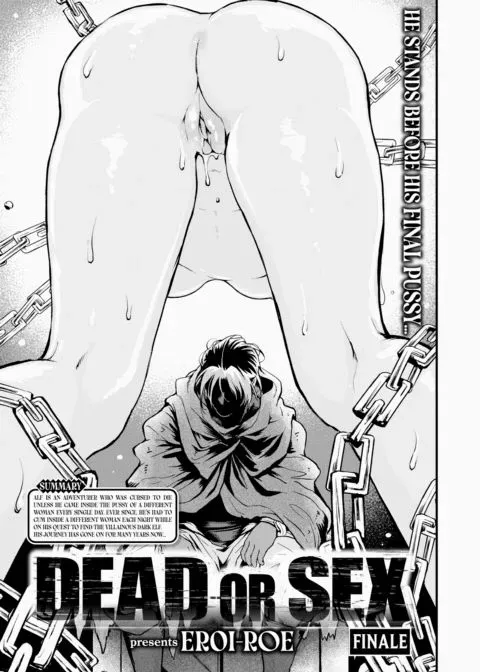 Dead or Sex Finale manga cover