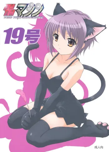 (SC39) [TIMTIM MACHINE (Kazuma G-Version)] TIMTIM MACHINE 19 (The Melancholy of Haruhi Suzumiya) manga cover
