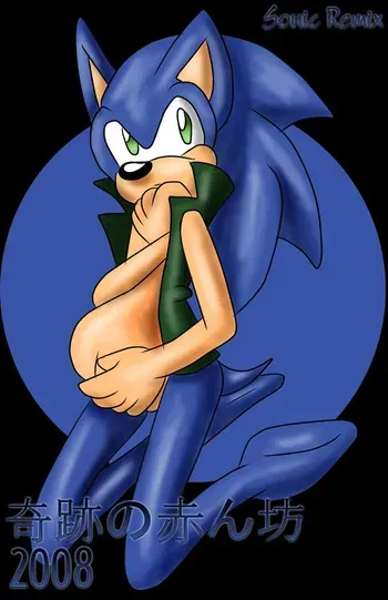 SonicRemix's Sonic Mpreg Art manga cover