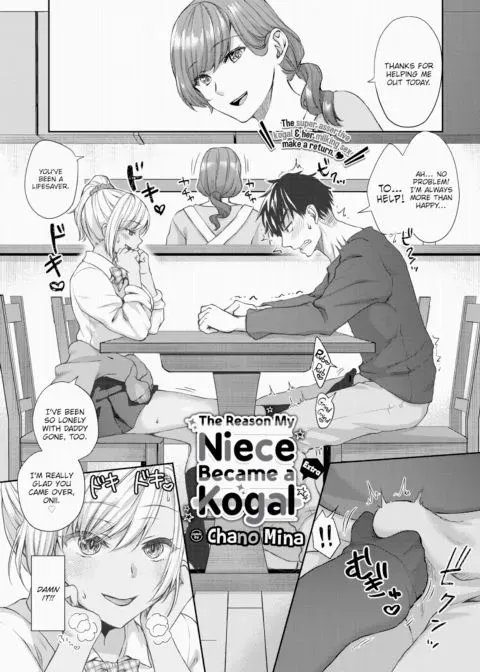 The Reason My Niece Became a Kogal ~Extra~ manga cover