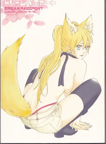 Dream Passportongoing manga cover
