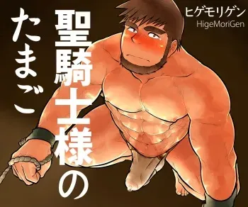[Studio Higemori (Higemorigen)] Seikishi-sama no Tamago manga cover