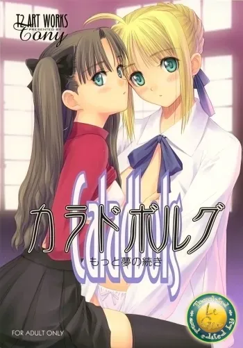 Caladbolg Motto Yume no Tsuzuki manga cover