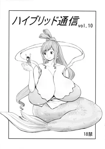 (COMIC1☆6) [Hybrid Jimushitsu (Muronaga Char siu)] Hybrid Tsuushin Vol.10 (One Piece, Queen's Blade) manga cover