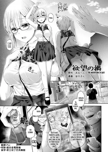 Yokubou no Wazawai manga cover