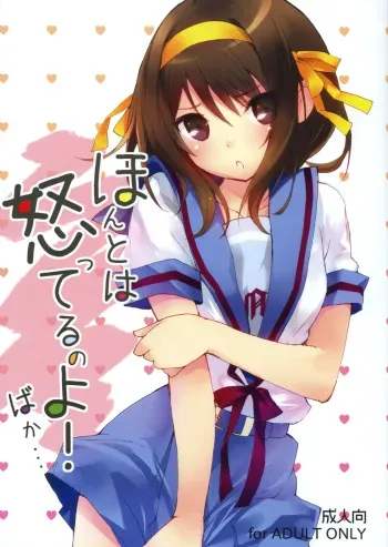 [Toward the Sky (Yuuka)] Honto wa Okotteru no yo! Baka... | I Really Am Angry! Idiot... (Suzumiya Haruhi no Yuuutsu) [English] [life4Kaoru] [2011-04-22] manga cover