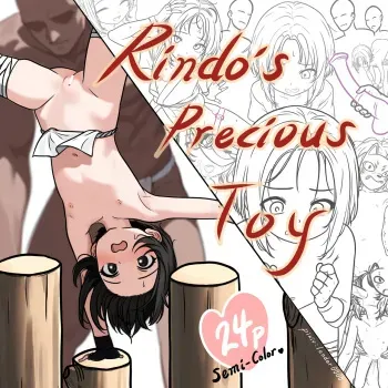 Rindo's Precious Toy manga cover