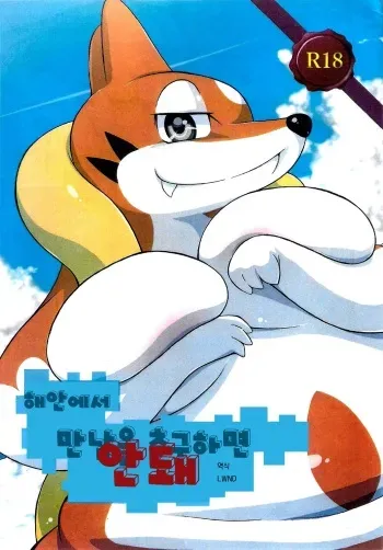 (Kemoket 4) [Two Tone Color (Korurun)] Kaigan ni Deai o Motomeru no wa Machigai (Pokémon X and Y) [Korean] [LWND] manga cover