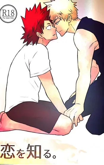 Ai wo Shiru manga cover