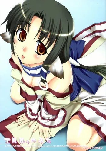 (CT9) [KABAYAKIYA (Unagimaru)] Eruru no Uta (Utawarerumono) [English] [redCoMet] [Decensored] manga cover