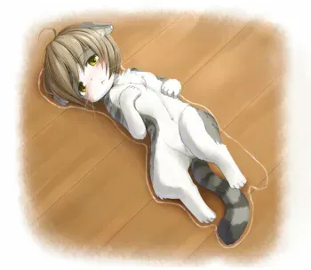 my little furry loli folder manga cover