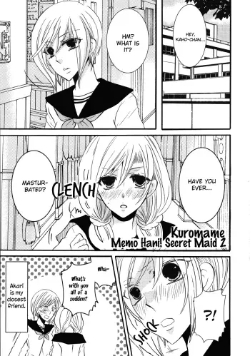 Memo Hani! Secret Maid 2 manga cover