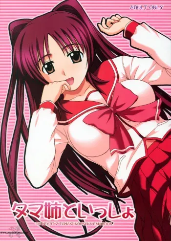 (C68) [G-SCAN CORP. (Satou Chagashi)] Tama-nee to Issho (ToHeart2) [English] [SaHa] manga cover