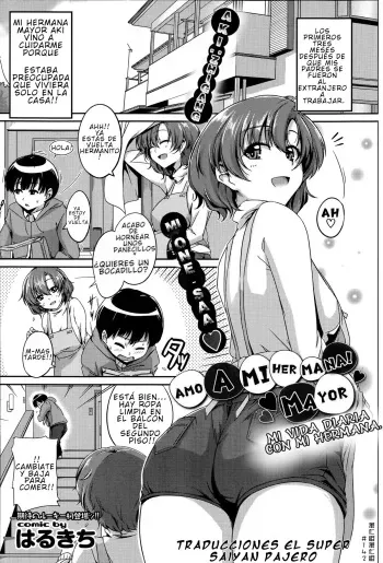 [Harukichi] Onee-chan Biyori (COMIC Purumelo 2014-11) [Spanish] manga cover