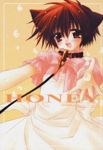 (CR27) [CHRONOLOG (Kanaru Fujimiya, Sakurazawa Izumi)] HONEY (Shin Megami Tensei if...) manga cover