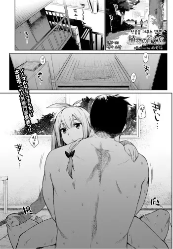 [Mizone] Shokubutsu no Sodatekata | 식물을 키우는 방법 (COMIC BAVEL 2016-04) [Korean] [SWhite] [Digital] manga cover