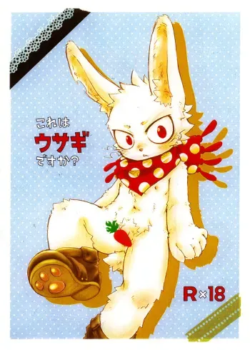 (Shota Scratch 14) [KPTM'S (Kurotsuki Kyouto)] Kore Ha Usagi Desuka (Oumagadoki Zoo) manga cover