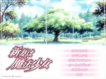 [Terios] Niizuma wa Mahou Shoujo manga cover