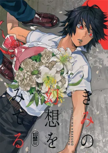 (Douyara Deban no Youda! 12) [SCO.LABO (shoco)] Kimi no Gensou o Miteru (Boku no Hero Academia) manga cover