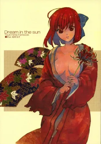 [Aihara Otome (Yamada Nyoriko)] Dream in the sun (Tsukihime) manga cover