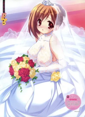Wedding-dress collection manga cover