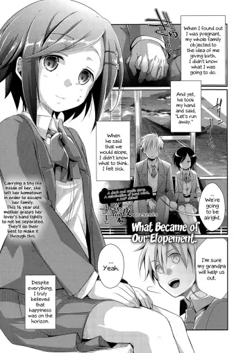 What Became of Our Elopement manga cover