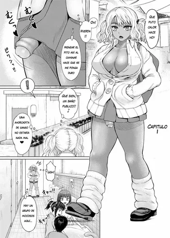 Futanari Bitch Gal wa Suki desu ka 01 - 13 (Sin censura) [Ray-Raw] [Nobuhiro] manga cover