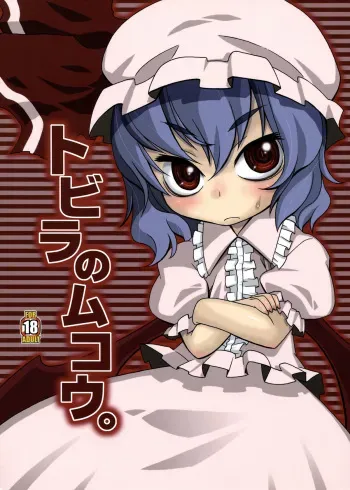 (Aka no Hiroba) [USO Seisakusho (Harukaze Unipo)] Tobira no Mukou. (Touhou Project) manga cover