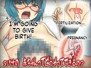 [Miyuuhodoh] Tabasa no Akachan te Doyatte Dekiruno? (The way Tabitha gives birth to a baby) (Zero no Tsukaima) (Eng MTL text) manga cover