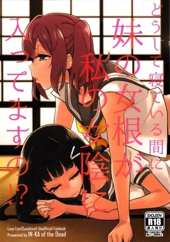 Doushite Neteiru Ma ni Imouto no Nyokon ga Watashi no Nyoin ni Haittemasu no!? manga cover