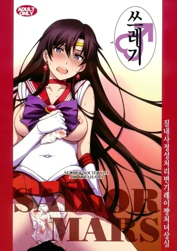 (C93) [Secret Society M (Kitahara Aki)] Nakadashi Seishori Benki Rei-chan Shojo Soushitsu. (Bishoujo Senshi Sailor Moon) [Korean] manga cover