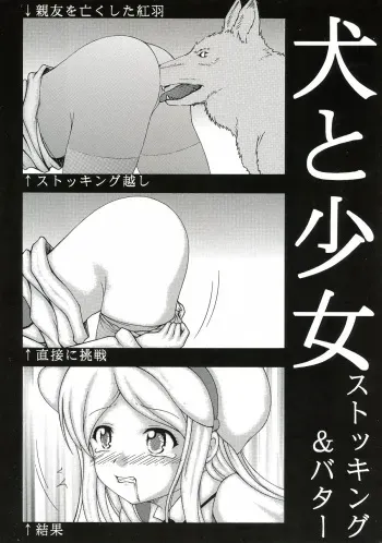 (CSP6) [Atarashiki(21) (Atarashiki(21)] Inu to Shoujo Stockings (Yurikuma Arashi) manga cover