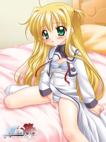 [Kitsune no Oyomeiri (Nakajima Konta)] Nano Haya Fate na no. (Mahou Shoujo Lyrical Nanoha A's) manga cover