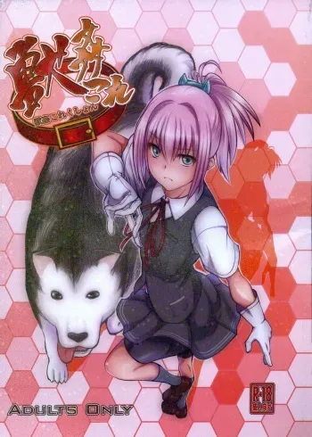 (SC61) [Zensoku Rider (Tenzen Miyabi)] Juukan Collection (Kantai Collection -KanColle-) [Spanish] manga cover