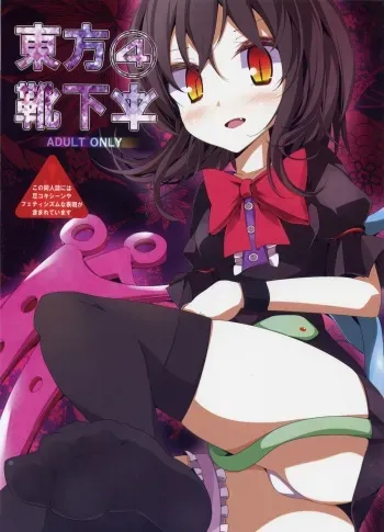 (C78) [Usotsukiya (Oouso)] Touhou Kutsushita Bon 4 | Touhou Socks Book 4 (Touhou Project) [English] [CGrascal] manga cover